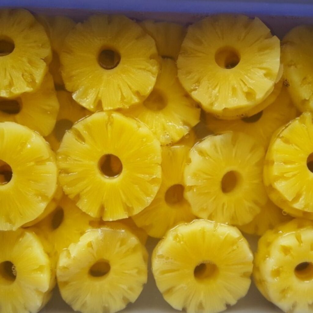 Canned Pineapple (Slices / Chunks / Tidbits / Crushed) 6 Canned Pipeapple 1 1