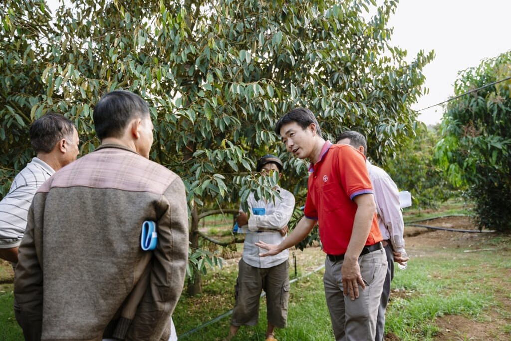 VinFruits commitment