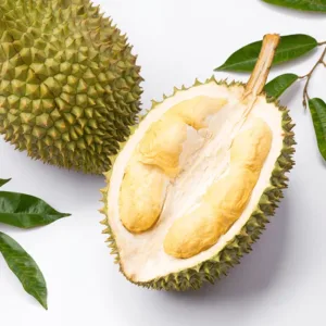 Export Durian (Fresh & Frozen)
