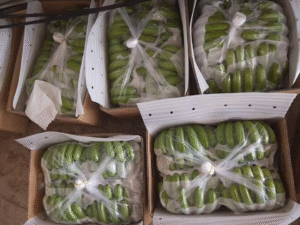 Chuoi tuoi Cavandish VinFruits 04