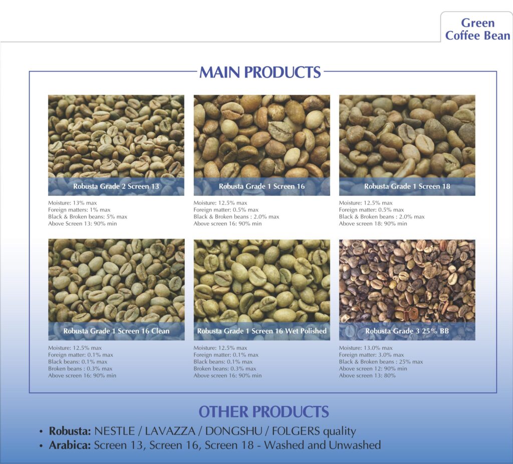 Coffee Bean Classification