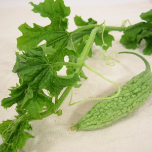 Dried Bitter Melon Leaf (Momordica charantia)