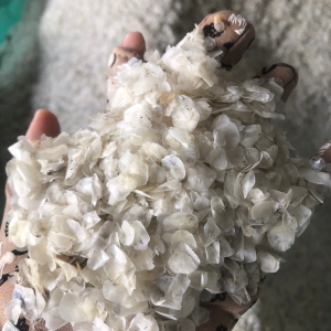 Dried Fish Scales