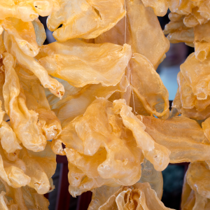 FISH MAW