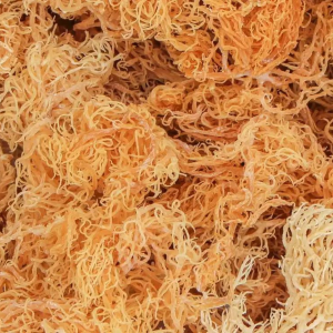 DRIED SEAMOSS