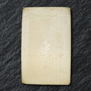 FROZEN SURIMI