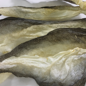 DRIED FISH SKIN