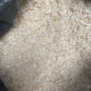 Tilapia Fish Scales for Collagen