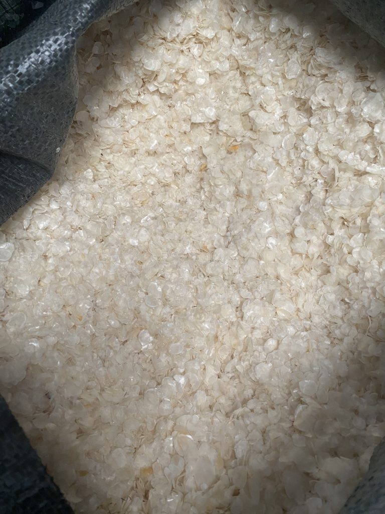 Tilapia Fish Scales for Collagen 21 z4788739793880 22c1e1415a227e39176d97c6579f07cd