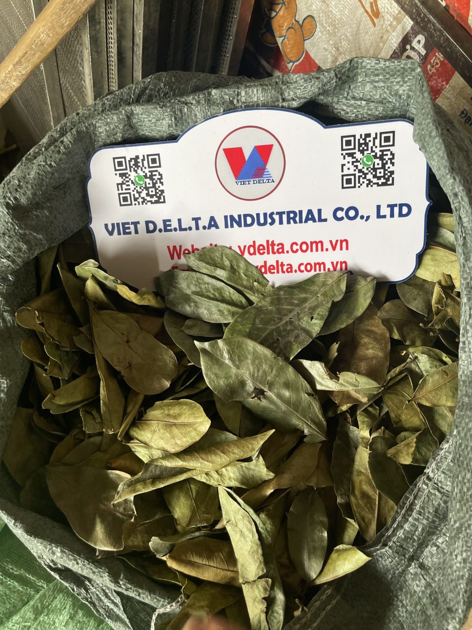 z5604263473218 6f36ed4cfa22b85216212f9e0ae161fb 920x1227 1