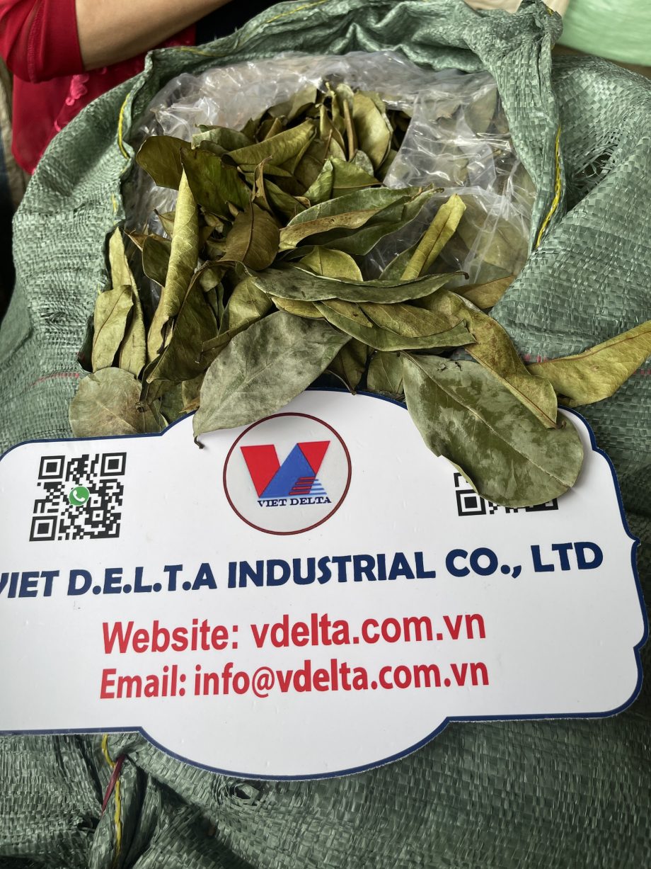 z5604263473220 4dadad6fa1497380cd820d4740a5bf47 920x1227 1