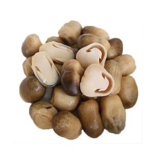 Canned Straw Mushroom