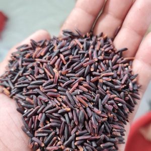 Black Rice