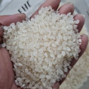 Japonica Round Rice (Sushi Rice)