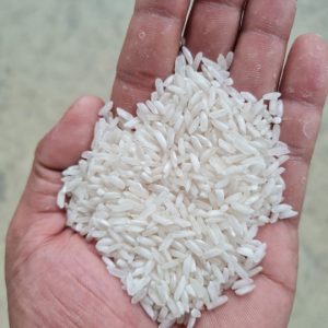 Long Grain White Rice (5%/15%/25%/50% Broken)