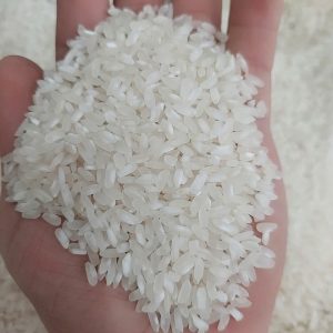 Calrose Rice